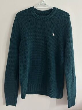 ABERCROMBIE & FITCH Moose Logo Sweater Size M